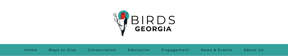 Georgia Audubon